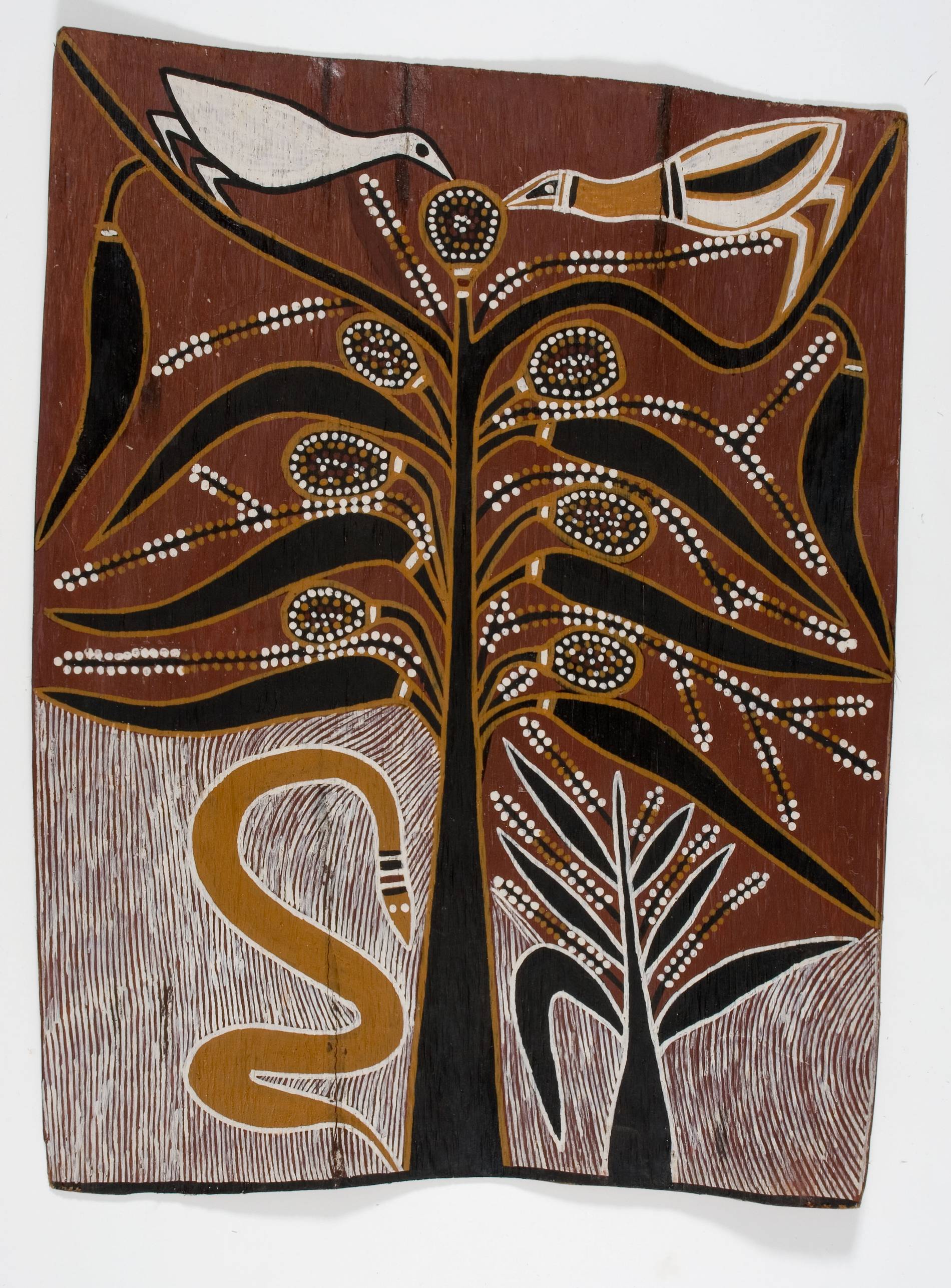 Gupapuyngu Mortuary Rites By David Malangi Daymirringu | MCA Australia