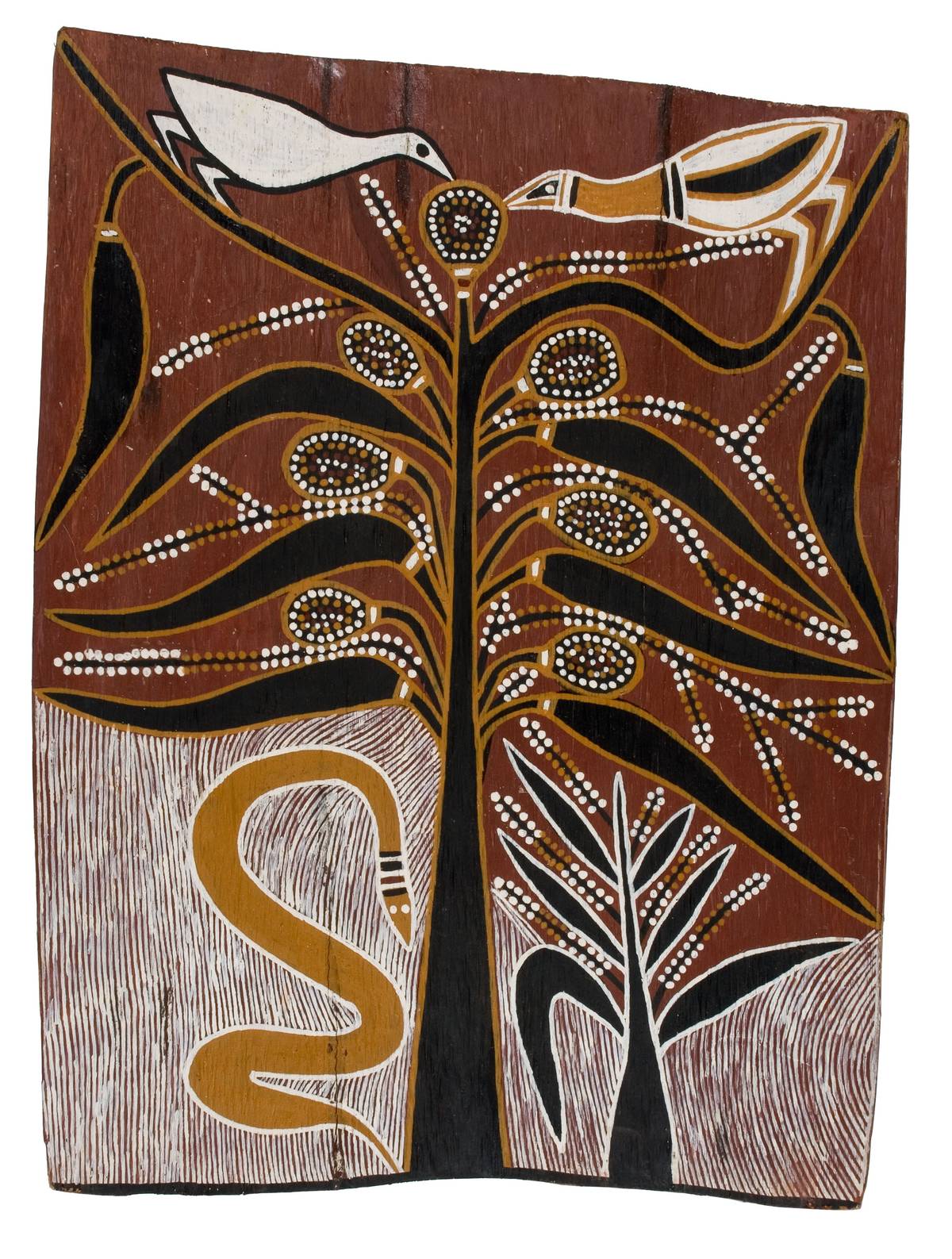 David Malangi Daymirringu: Artist Room, MCA Collection | MCA Australia