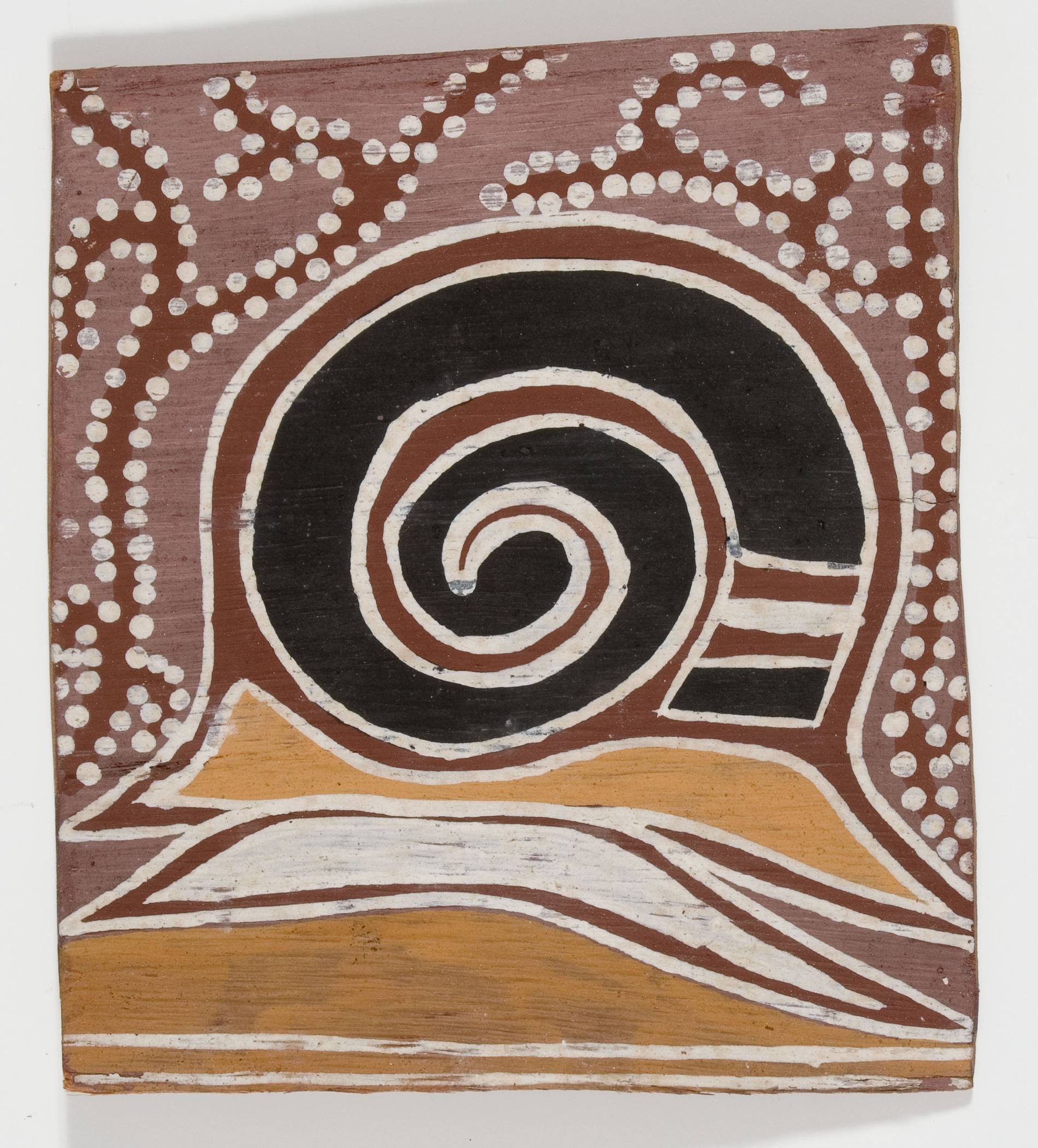 Snail By David Malangi Daymirringu | MCA Australia